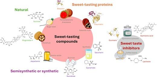 Publication: Sweet and Umami TAS1R Receptors: From Molecular Recognition to Physiological Function